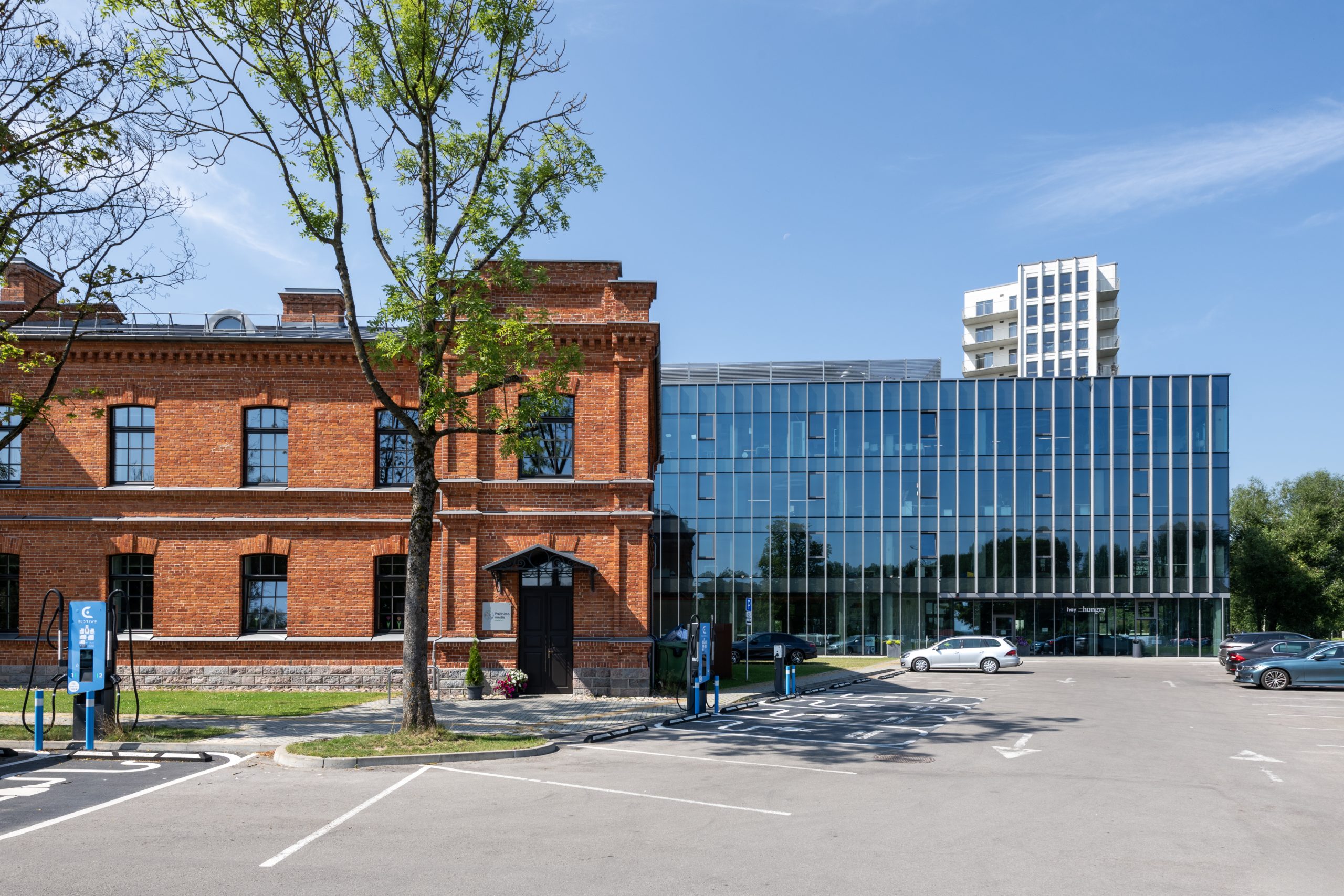 Vilties projektai
